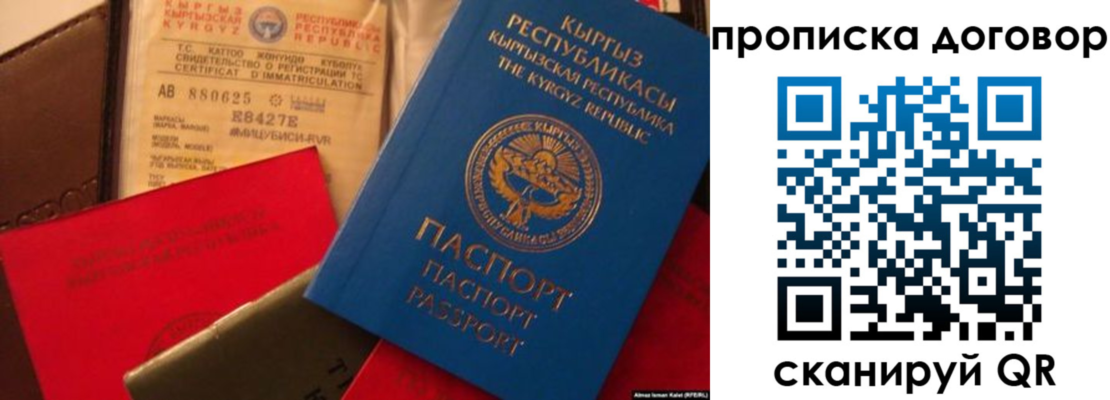 прописка законно в Дрезне